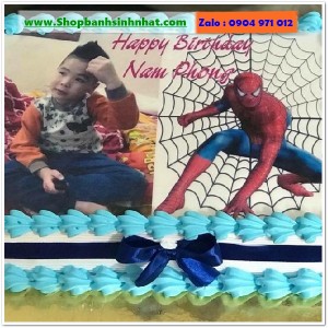 Bánh Sinh Nhật In Hình Ảnh - H725